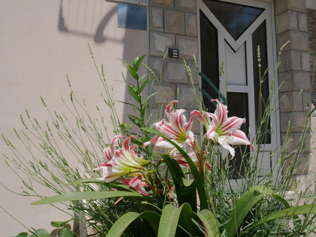 Guest House Almond Bečići 외부 사진